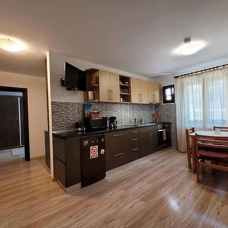 Central Place Apartment טימישוארה מראה חיצוני תמונה