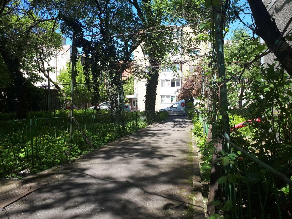 Central Place Apartment טימישוארה מראה חיצוני תמונה