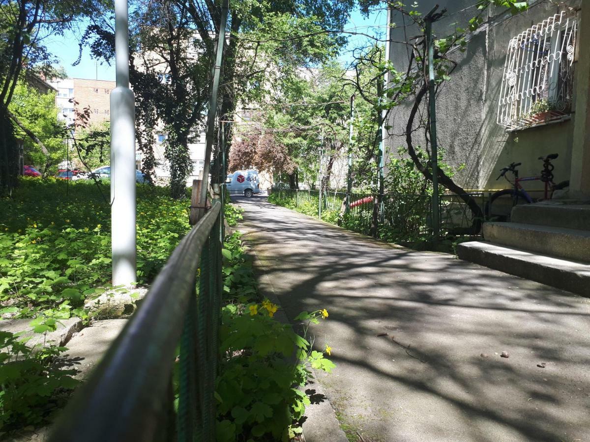 Central Place Apartment טימישוארה מראה חיצוני תמונה