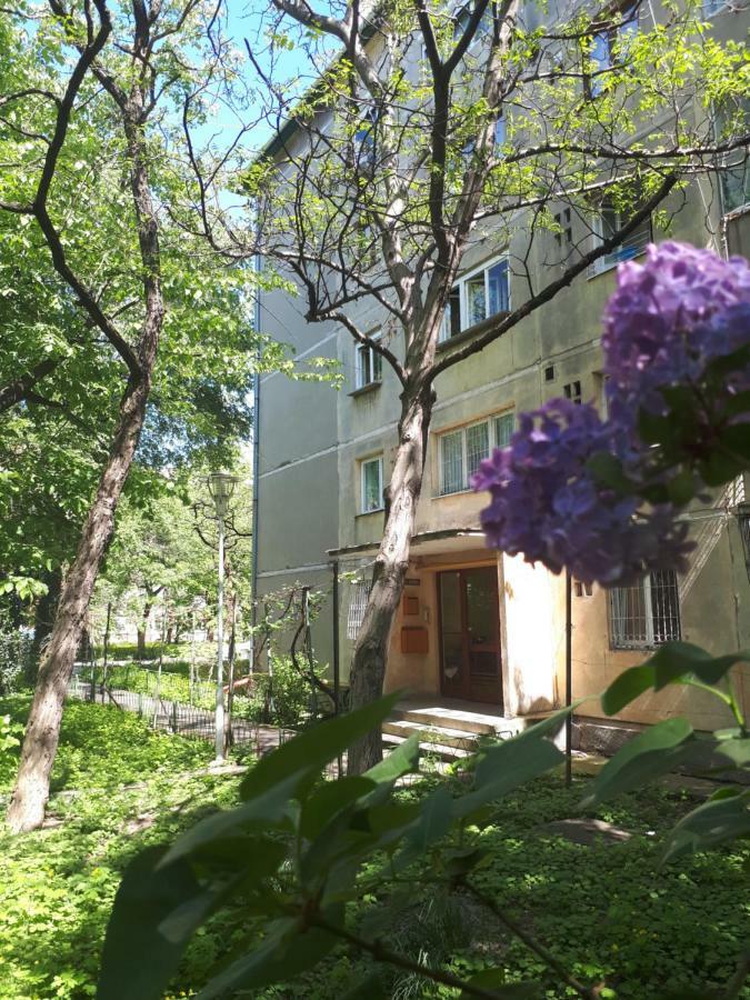 Central Place Apartment טימישוארה מראה חיצוני תמונה