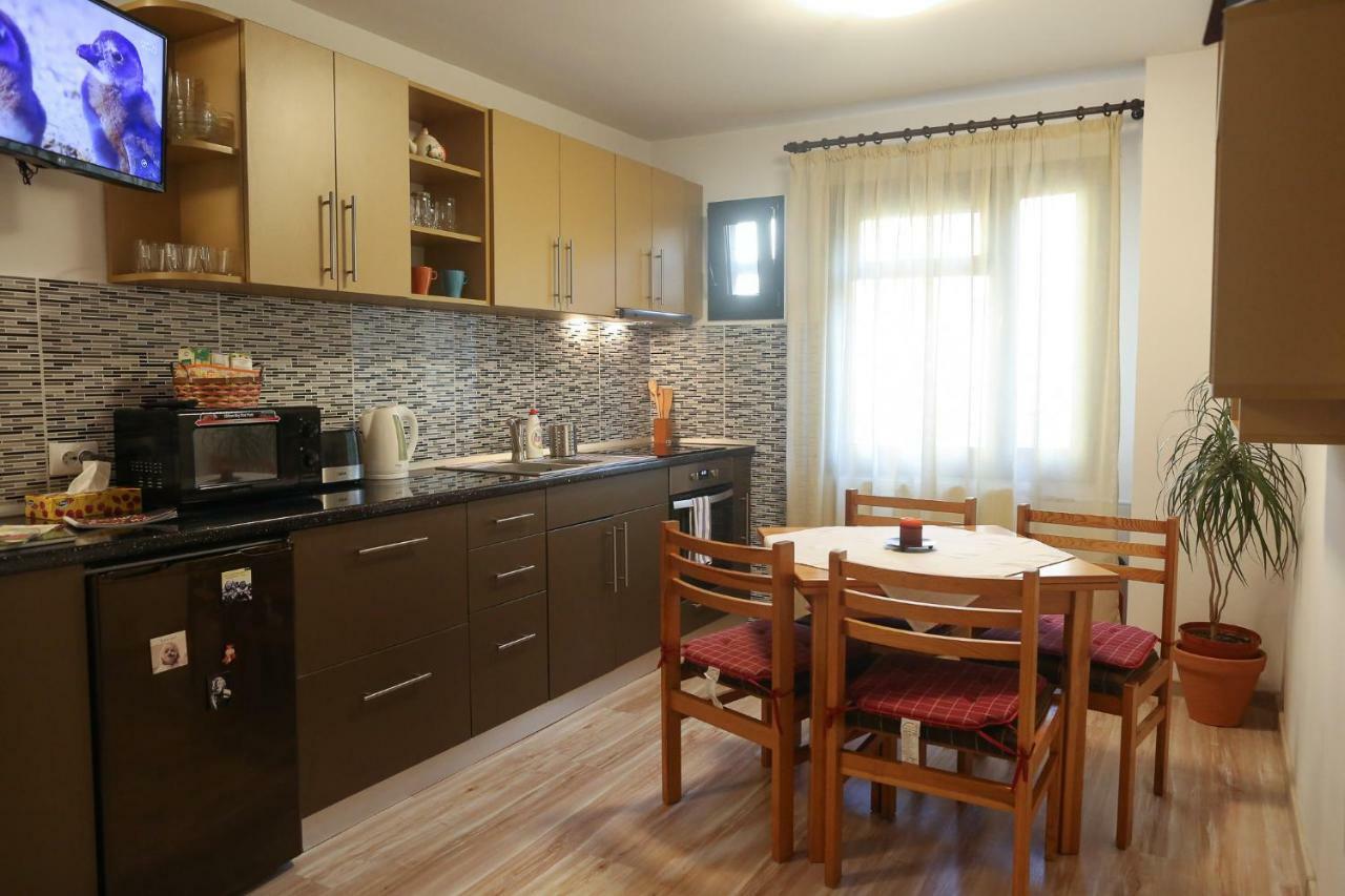 Central Place Apartment טימישוארה מראה חיצוני תמונה